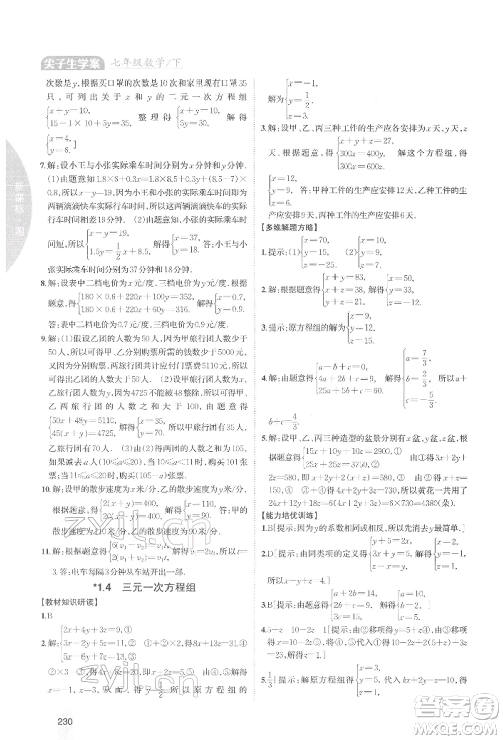 吉林人民出版社2022尖子生學(xué)案七年級(jí)下冊(cè)數(shù)學(xué)湘教版參考答案