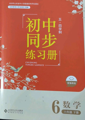 北京師范大學出版社2022初中同步練習冊數(shù)學六年級下冊五四學制魯教版答案