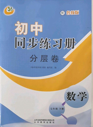 山東教育出版社2022初中同步練習(xí)冊(cè)分層卷數(shù)學(xué)七年級(jí)下冊(cè)魯教版答案
