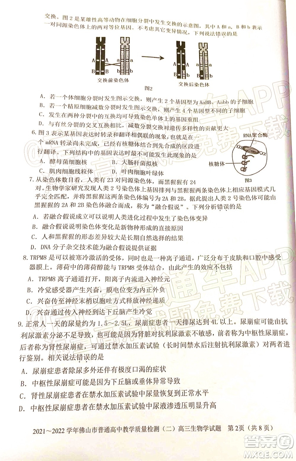 2021-2022學(xué)年佛山市普通高中教學(xué)質(zhì)量檢測(cè)二高三生物學(xué)試題及答案