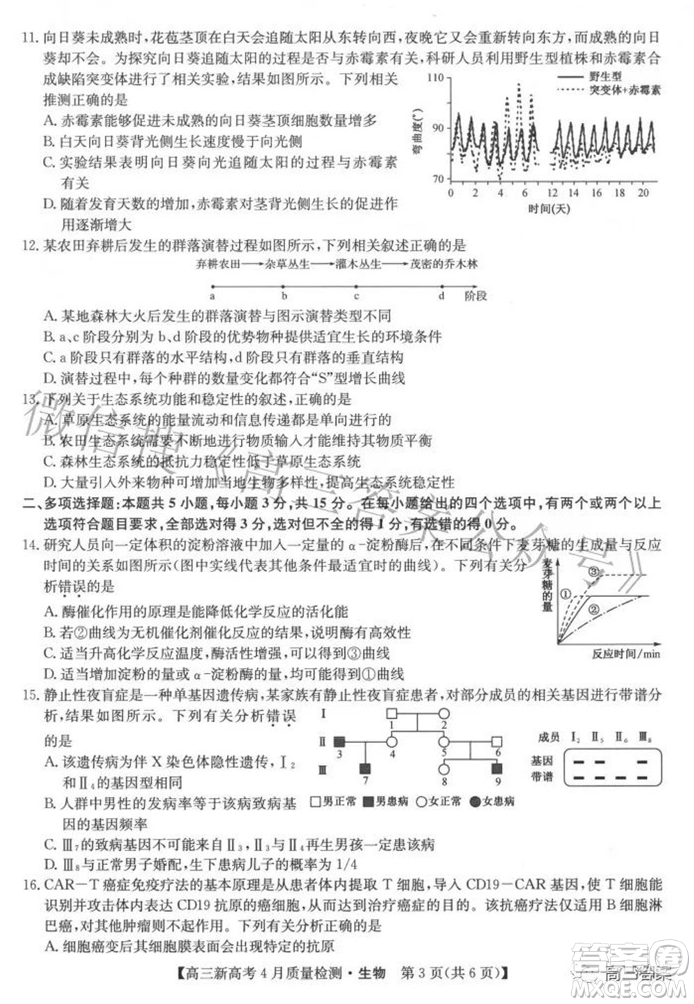 2022九師聯(lián)盟高三新高考4月質(zhì)量檢測生物試題及答案