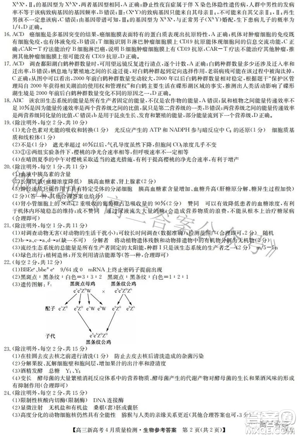 2022九師聯(lián)盟高三新高考4月質(zhì)量檢測生物試題及答案