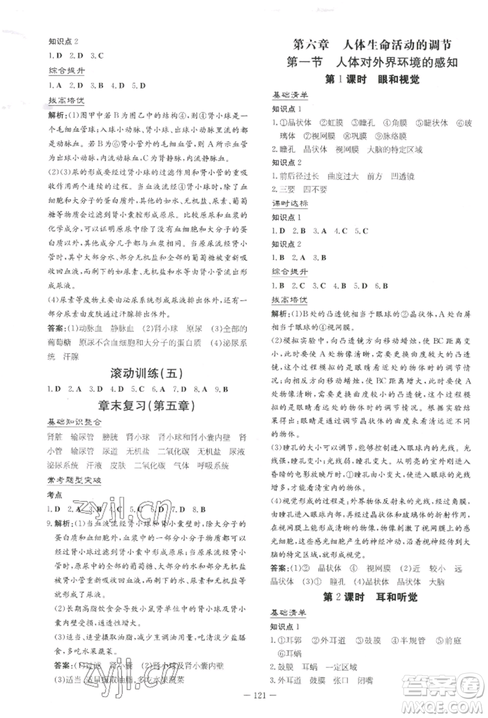 吉林教育出版社2022練案課時(shí)作業(yè)本七年級下冊生物學(xué)人教版參考答案