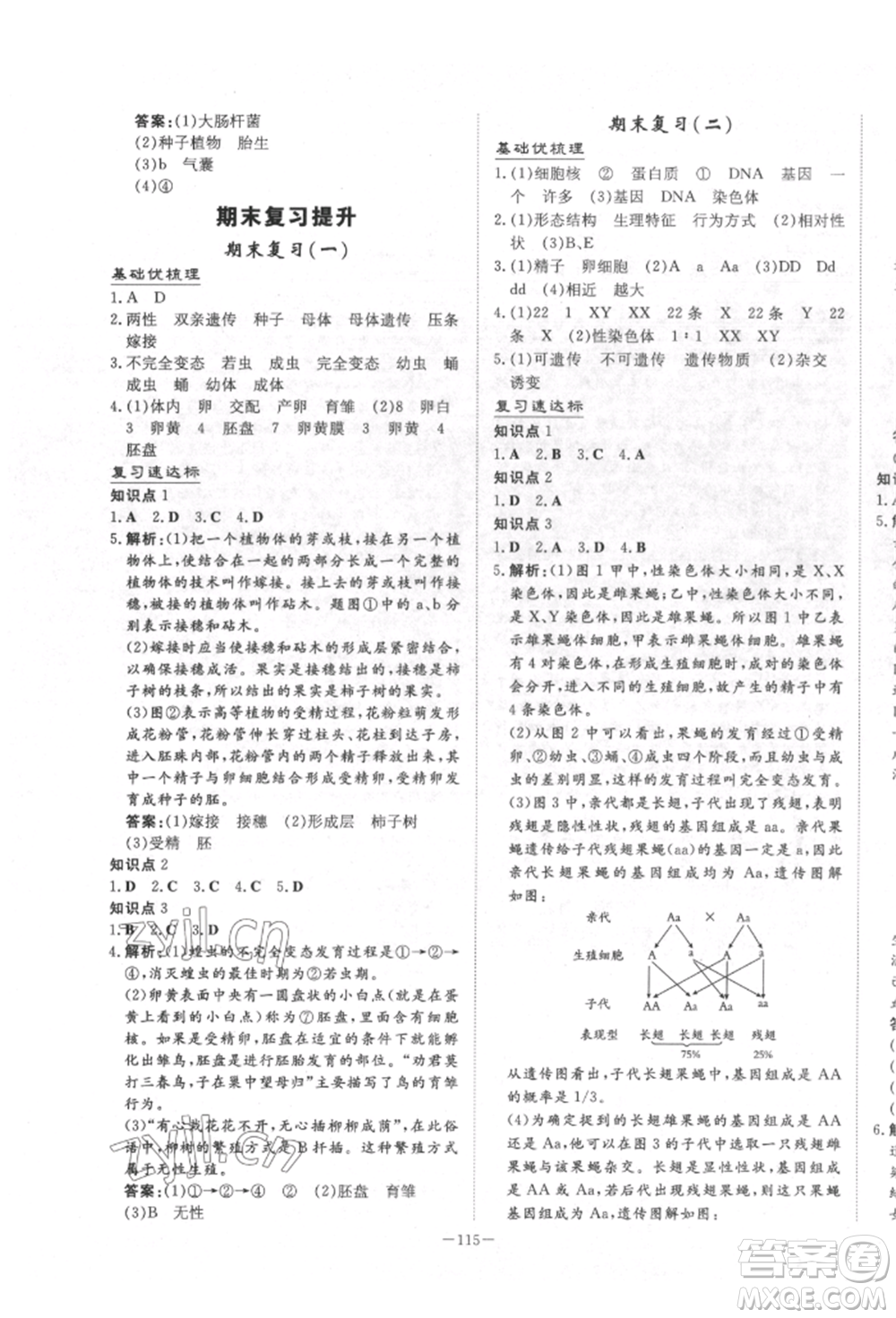 陜西人民教育出版社2022練案五四學(xué)制八年級(jí)生物學(xué)下冊(cè)魯科版參考答案