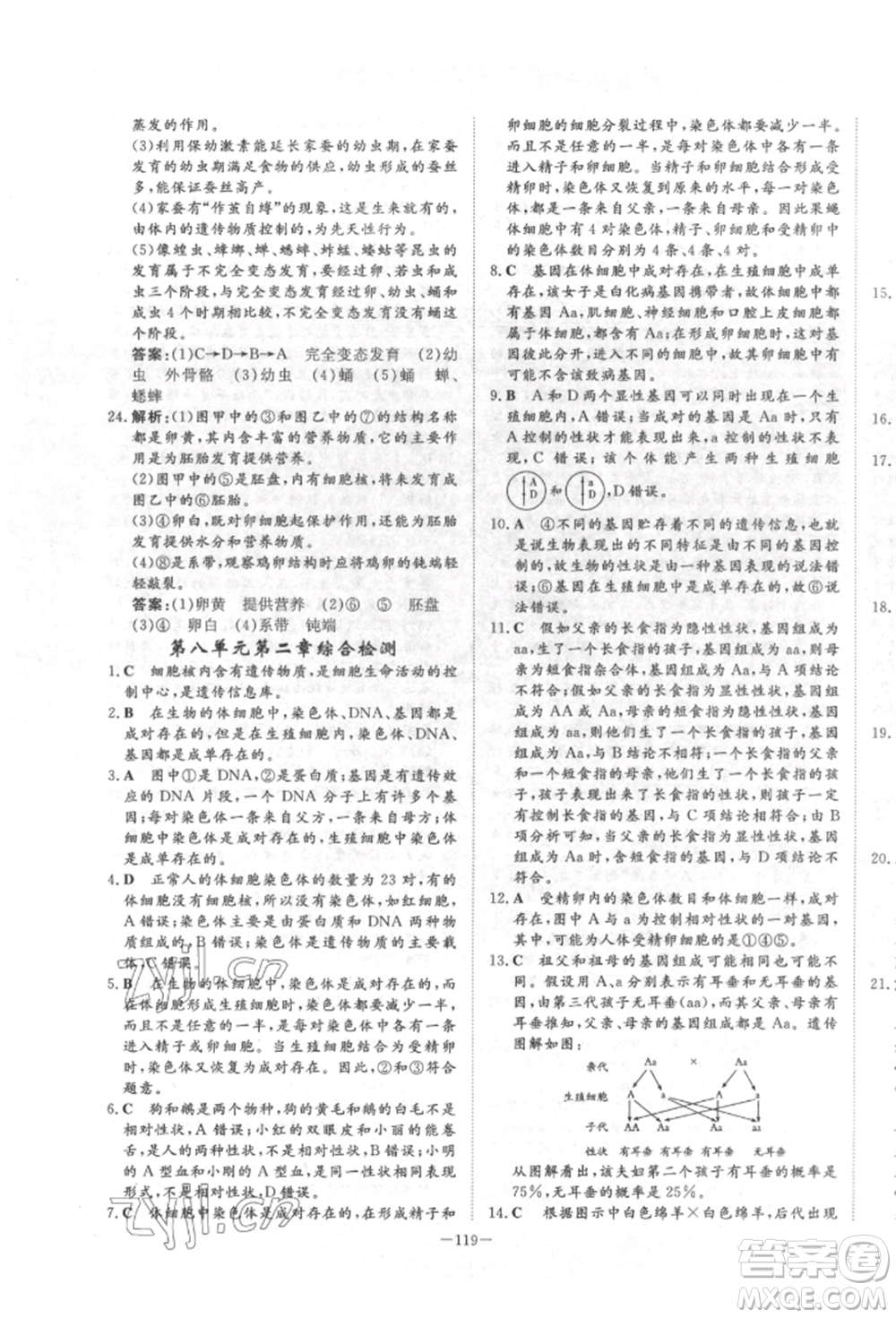 陜西人民教育出版社2022練案五四學(xué)制八年級(jí)生物學(xué)下冊(cè)魯科版參考答案