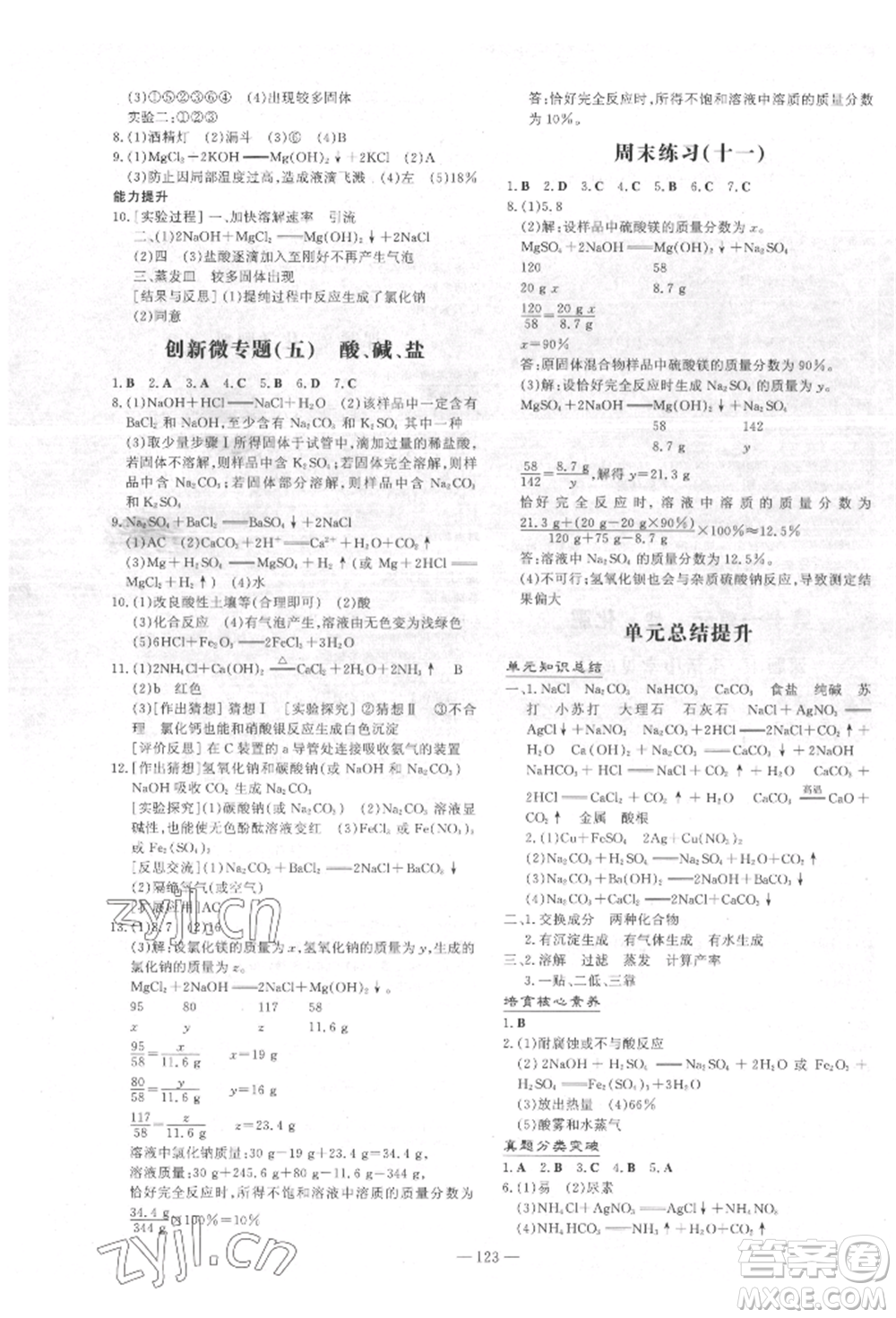吉林教育出版社2022練案課時(shí)作業(yè)本九年級下冊化學(xué)人教版參考答案