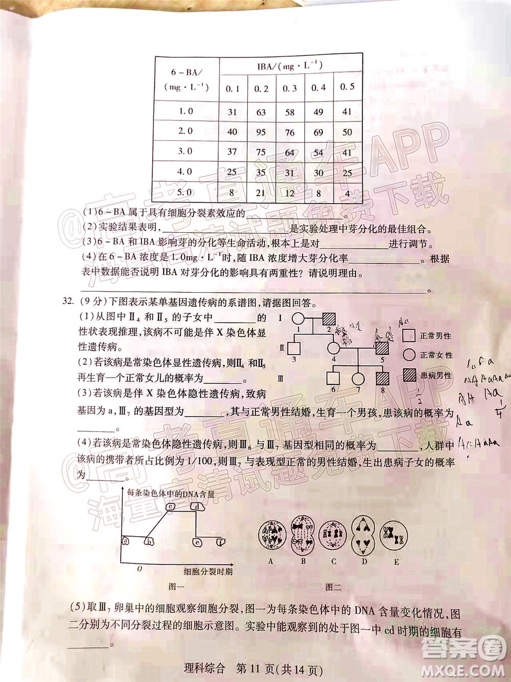 2022年寶雞市高考模擬檢測(cè)三理科綜合試題及答案