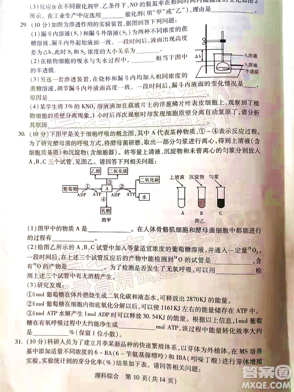 2022年寶雞市高考模擬檢測(cè)三理科綜合試題及答案
