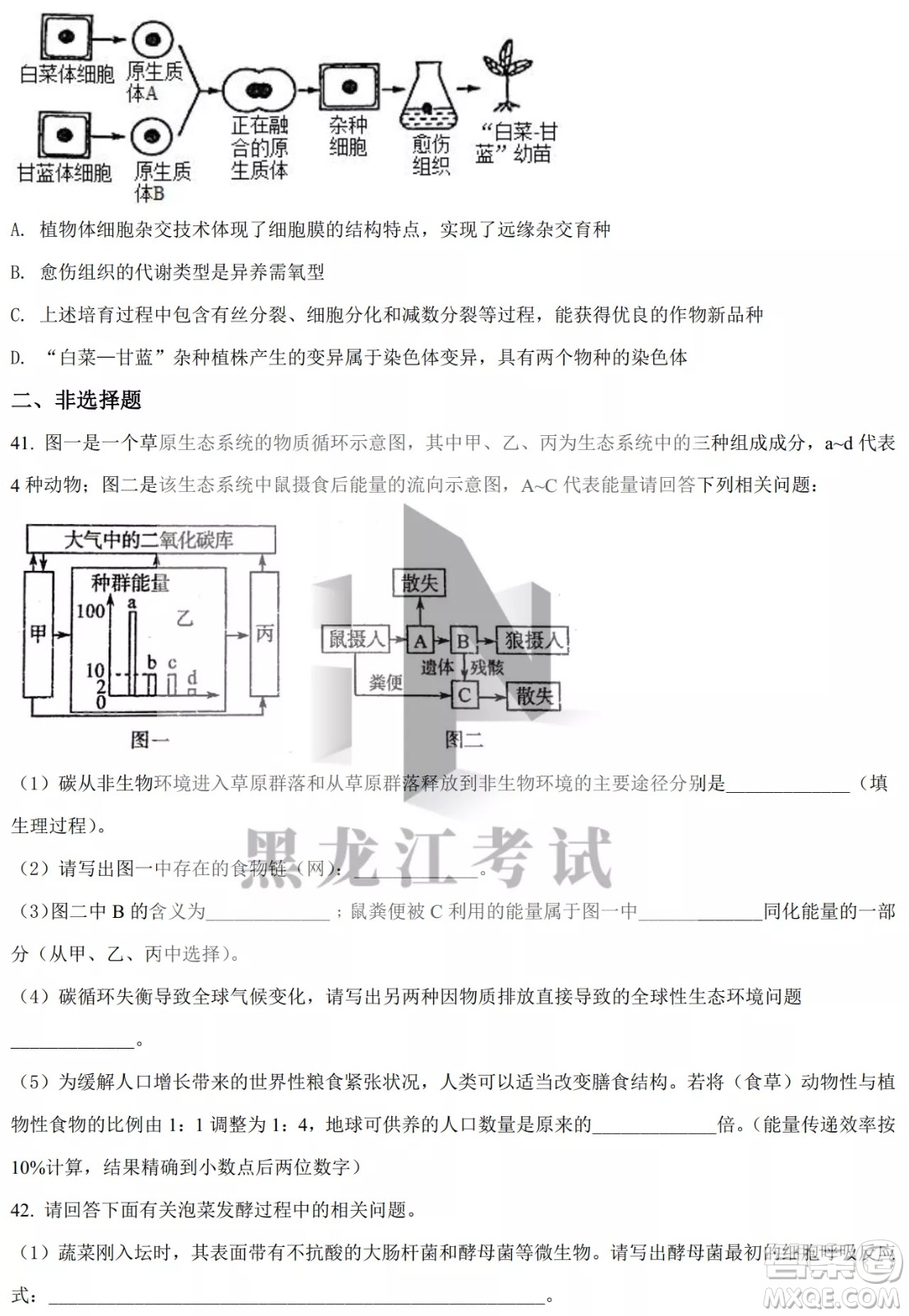 大慶實(shí)驗(yàn)中學(xué)實(shí)驗(yàn)一部2020級(jí)高二下學(xué)期4月階段性質(zhì)量檢測生物學(xué)試題及答案