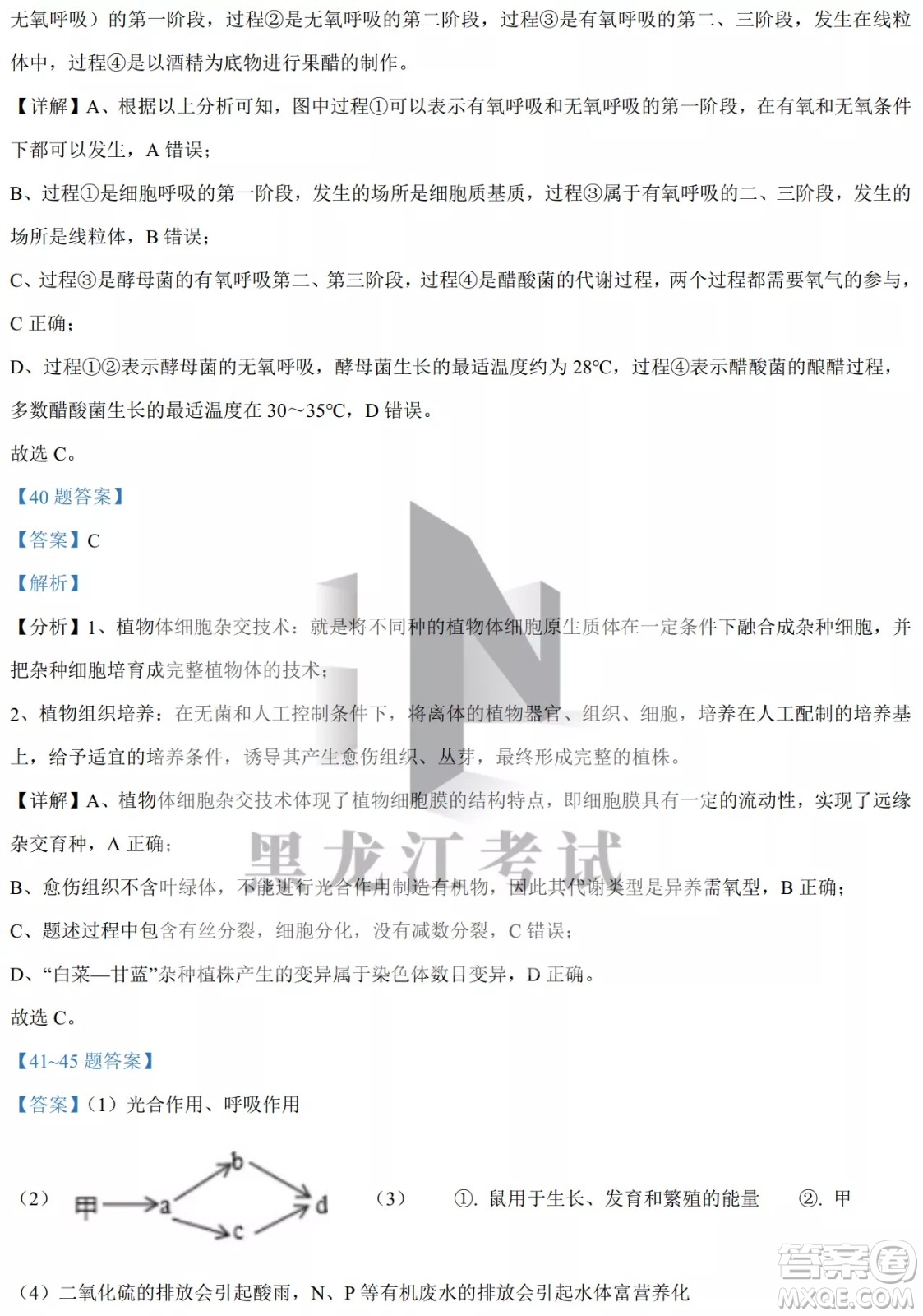 大慶實(shí)驗(yàn)中學(xué)實(shí)驗(yàn)一部2020級(jí)高二下學(xué)期4月階段性質(zhì)量檢測生物學(xué)試題及答案