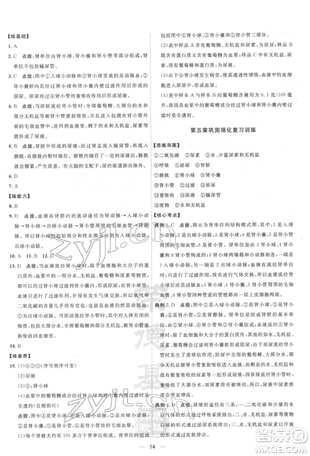 吉林教育出版社2022點(diǎn)撥訓(xùn)練課時作業(yè)本七年級下冊生物人教版參考答案