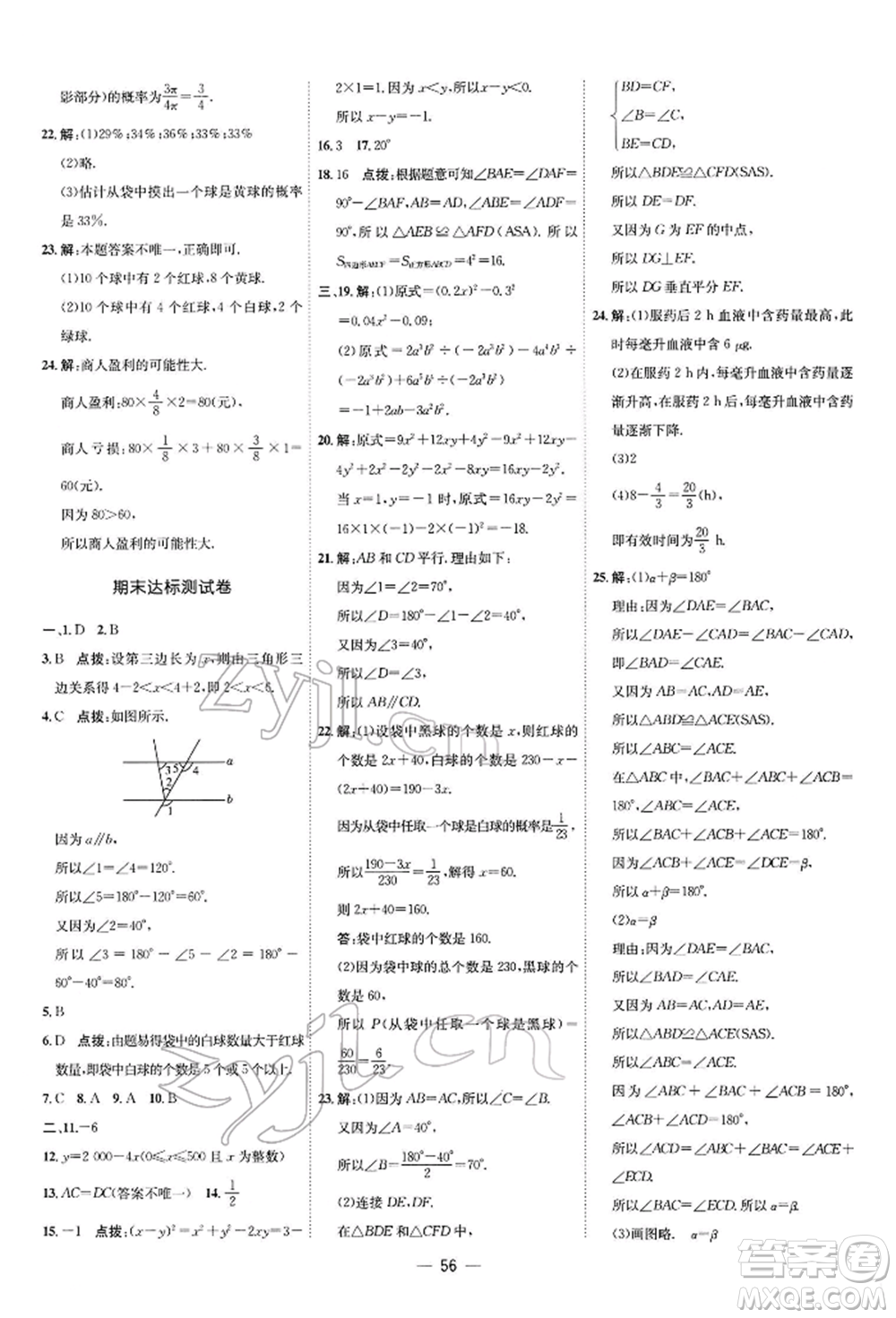 安徽教育出版社2022點(diǎn)撥訓(xùn)練課時(shí)作業(yè)本七年級下冊數(shù)學(xué)北師大版參考答案