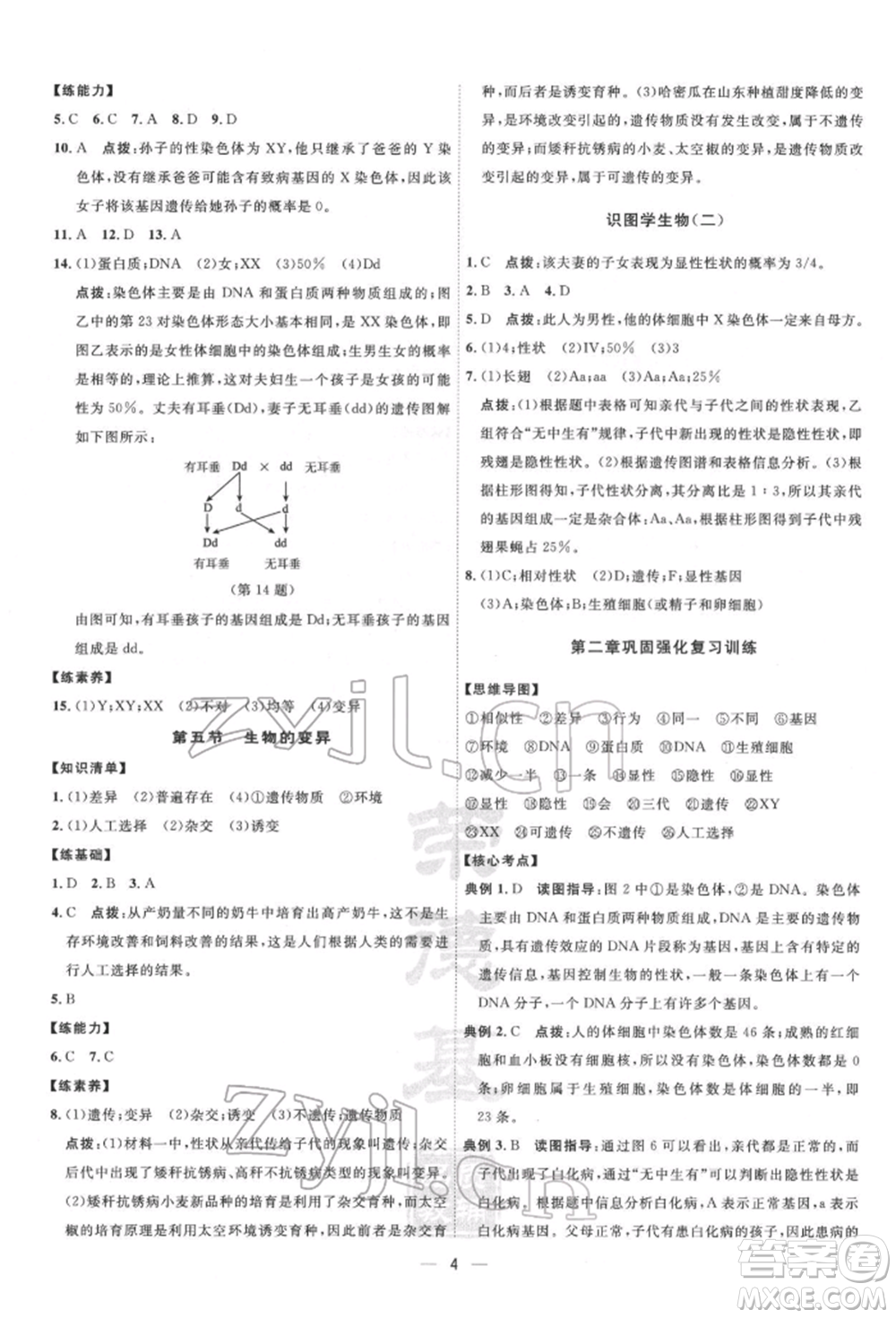 吉林教育出版社2022點(diǎn)撥訓(xùn)練課時作業(yè)本八年級下冊生物人教版參考答案