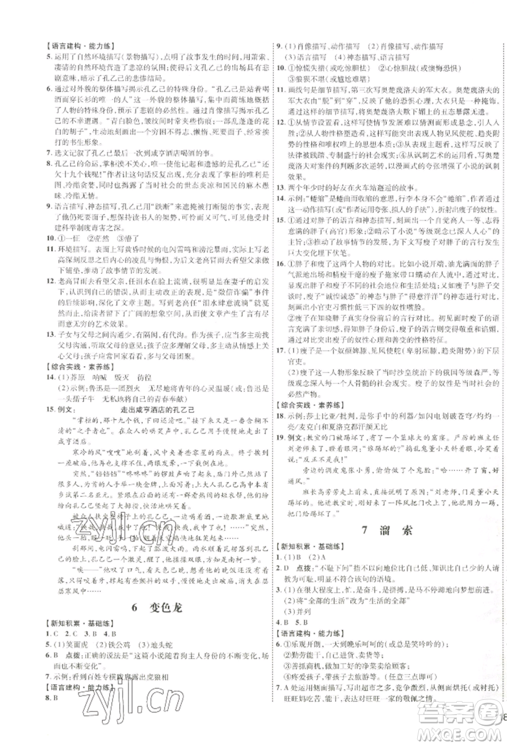 吉林教育出版社2022點撥訓(xùn)練課時作業(yè)本九年級下冊語文人教版參考答案