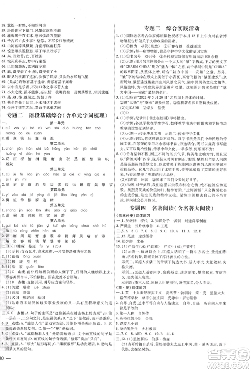 安徽教育出版社2022點(diǎn)撥訓(xùn)練課時(shí)作業(yè)本九年級(jí)下冊(cè)語(yǔ)文人教版安徽專版參考答案