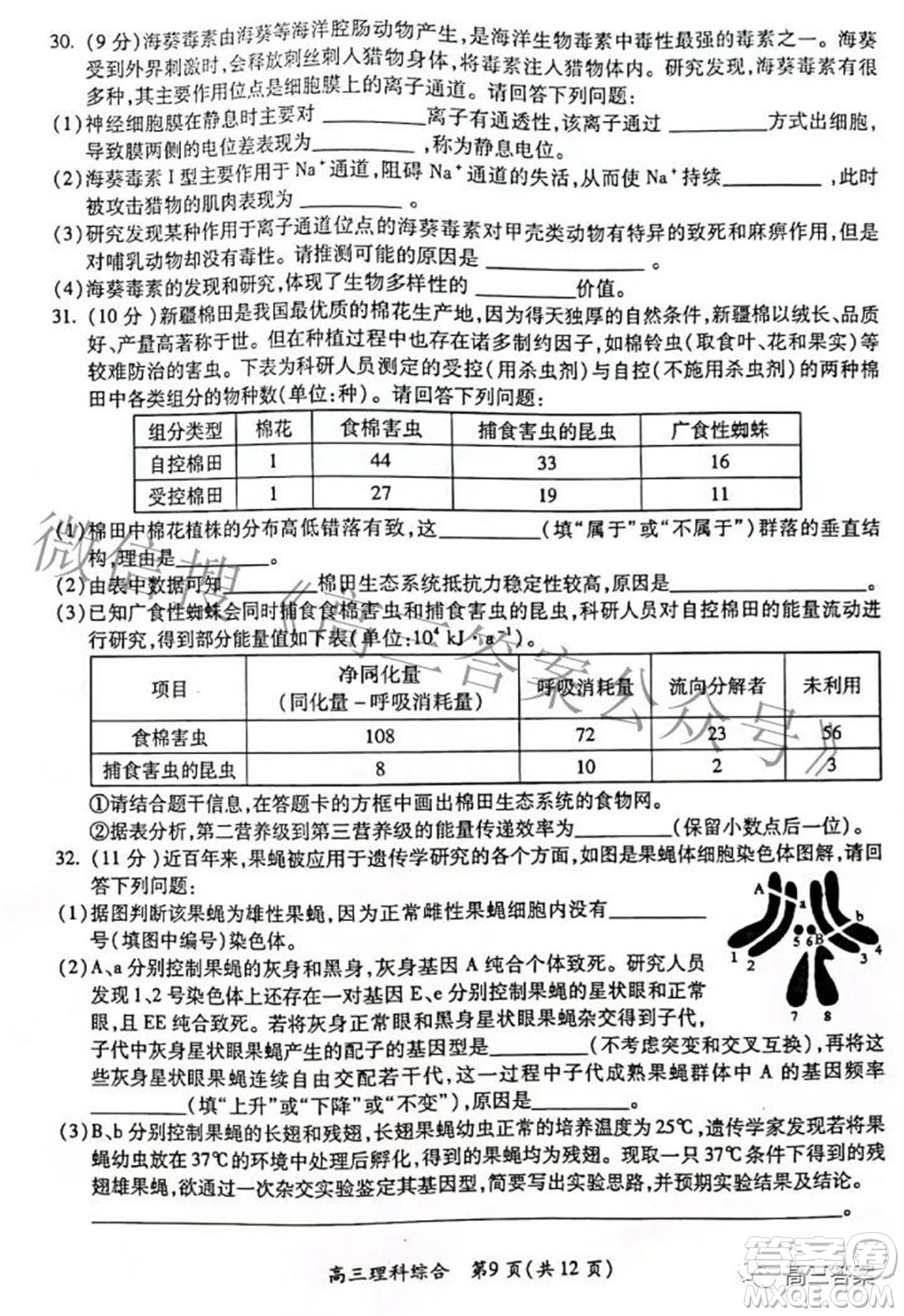 廣西四市2022屆高中畢業(yè)班4月教學質量檢測試題理科綜合試題及答案