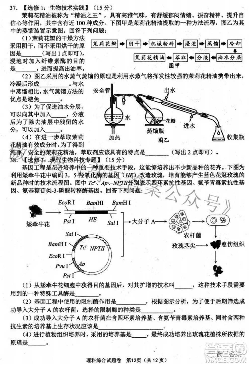 綿陽市高中2019級第三次診斷性考試理科綜合試題及答案