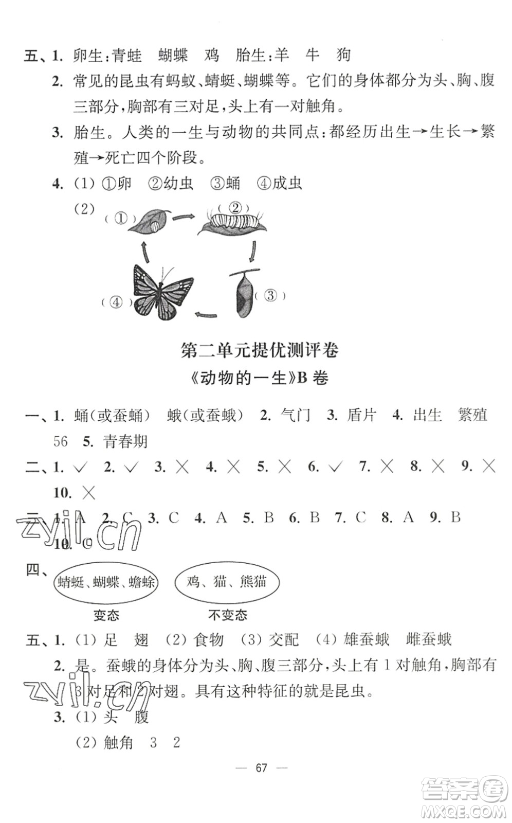 延邊大學出版社2022江蘇好卷三年級科學下冊教科版答案