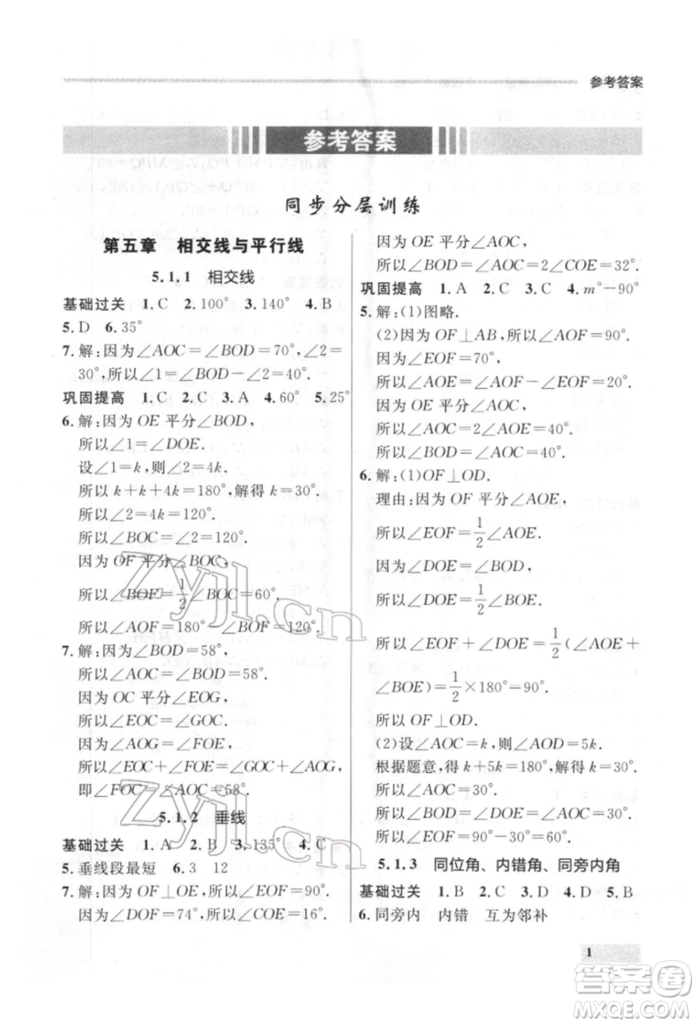 延邊大學(xué)出版社2022點(diǎn)石成金金牌每課通七年級下冊數(shù)學(xué)人教版參考答案