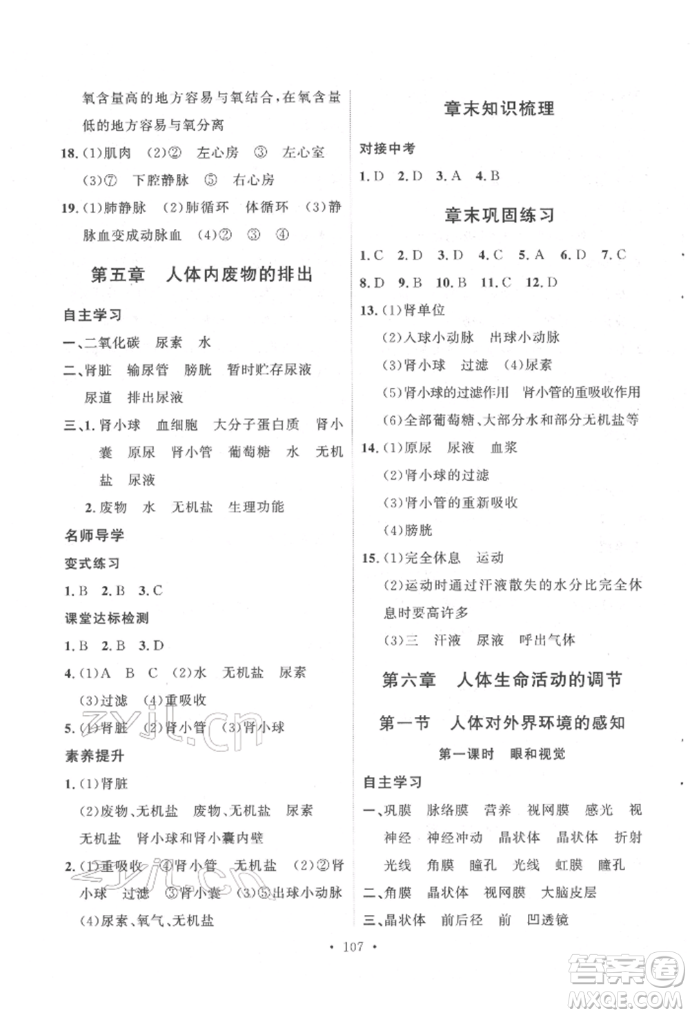 陜西人民出版社2022實(shí)驗(yàn)教材新學(xué)案七年級下冊生物人教版參考答案