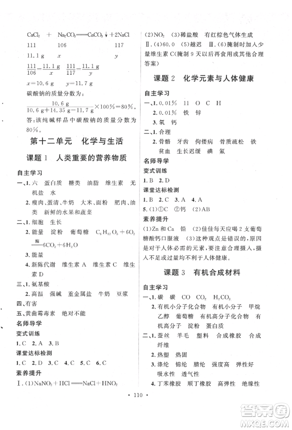 陜西人民出版社2022實(shí)驗(yàn)教材新學(xué)案九年級(jí)下冊(cè)化學(xué)人教版參考答案