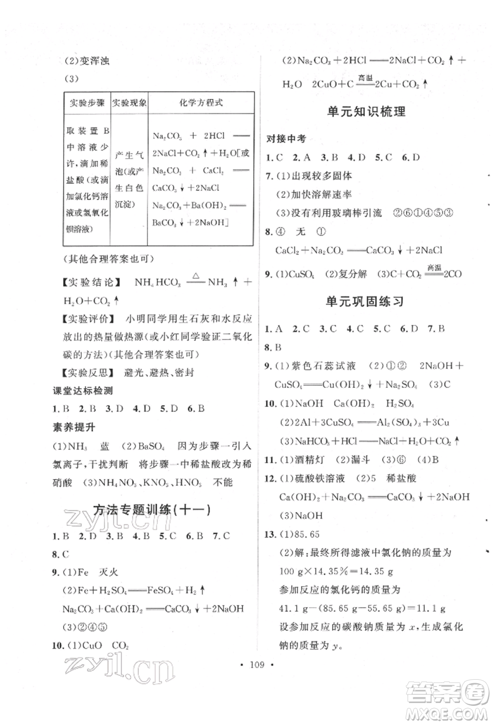 陜西人民出版社2022實(shí)驗(yàn)教材新學(xué)案九年級(jí)下冊(cè)化學(xué)人教版參考答案