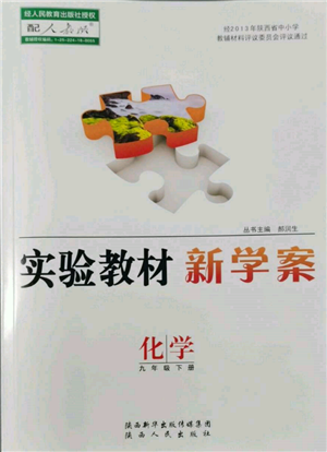 陜西人民出版社2022實(shí)驗(yàn)教材新學(xué)案九年級(jí)下冊(cè)化學(xué)人教版參考答案