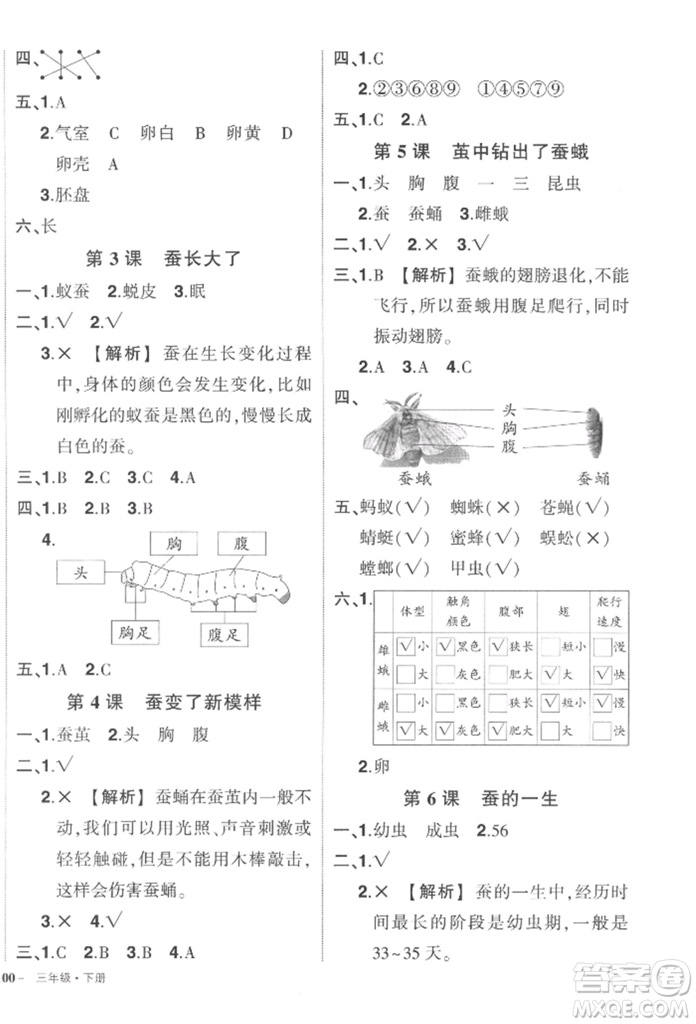 武漢出版社2022狀元成才路創(chuàng)優(yōu)作業(yè)100分三年級下冊科學(xué)教科版參考答案