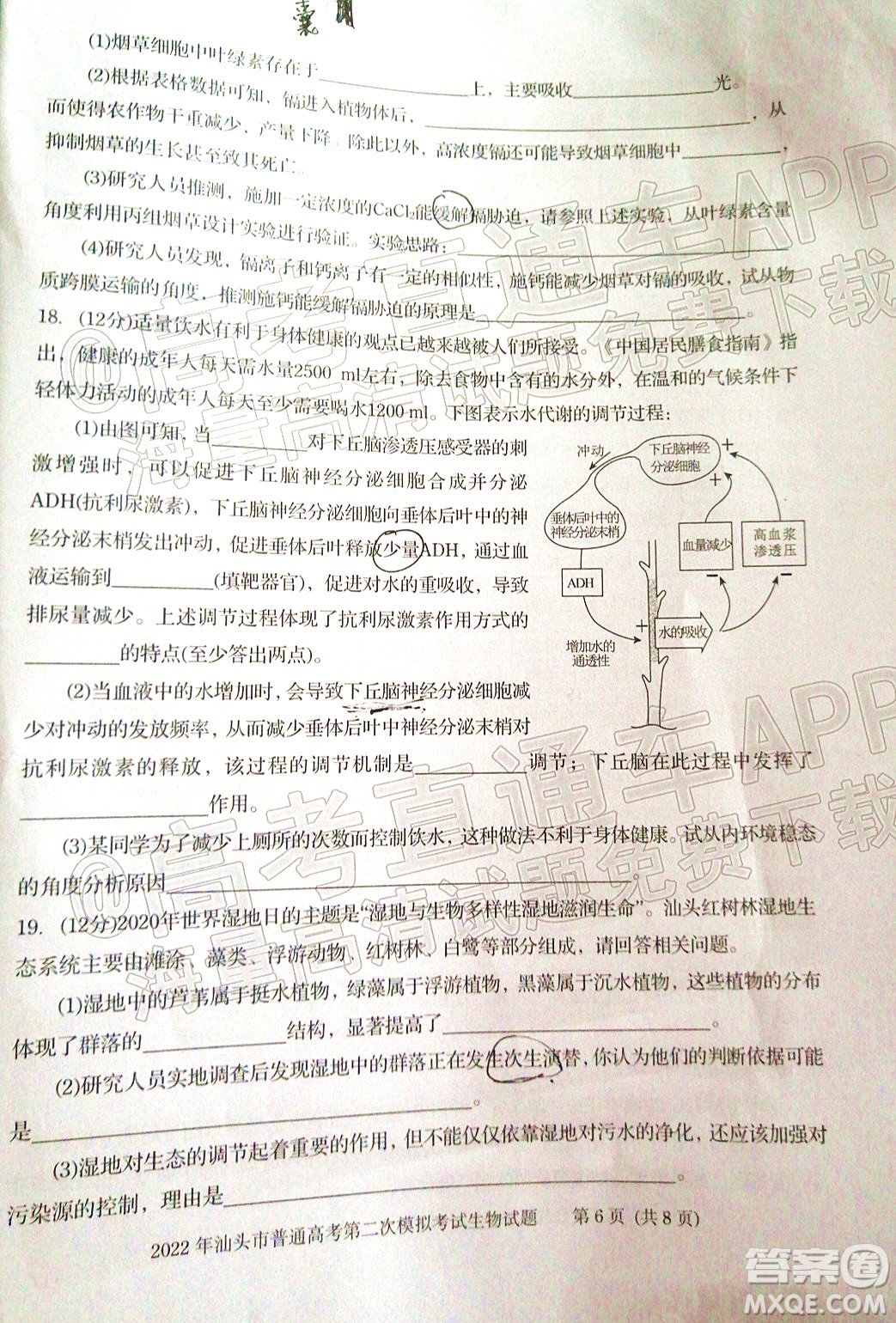 2022年汕頭市普通高考第一次模擬考試試題生物答案