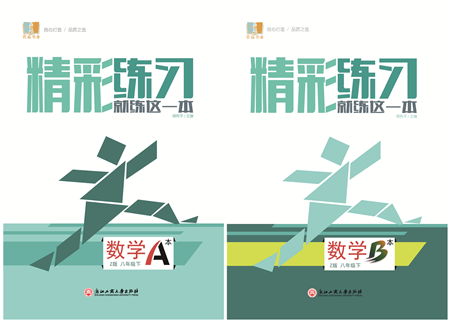 浙江工商大學出版社2022精彩練習就練這一本八年級數(shù)學下冊Z浙教版答案