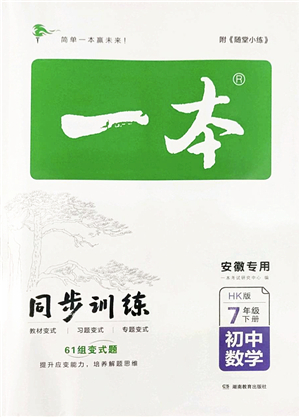 湖南教育出版社2022一本同步訓練七年級數(shù)學下冊HK滬科版安徽專版答案