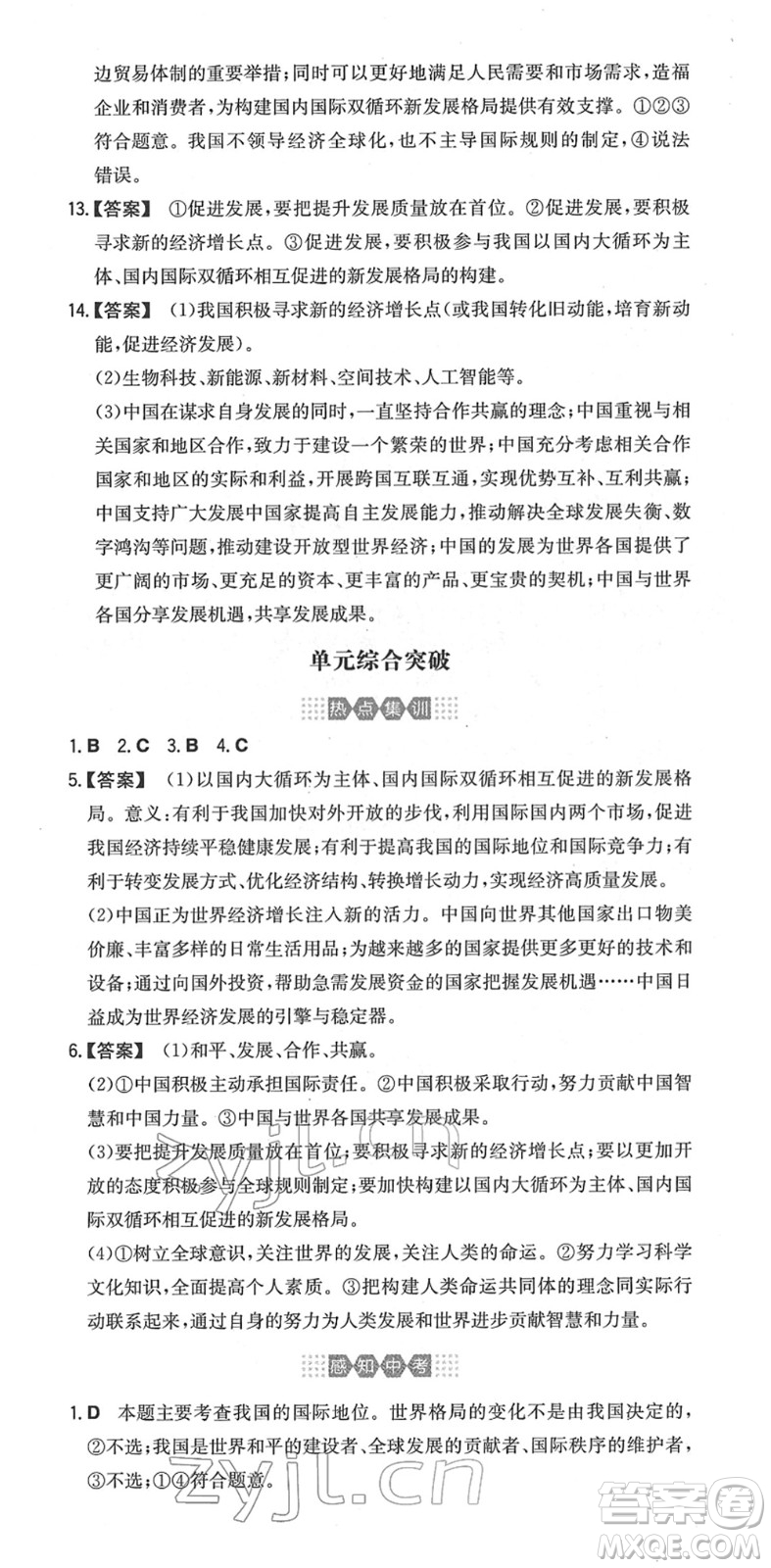 湖南教育出版社2022一本同步訓練九年級道德與法治下冊RJ人教版安徽專版答案