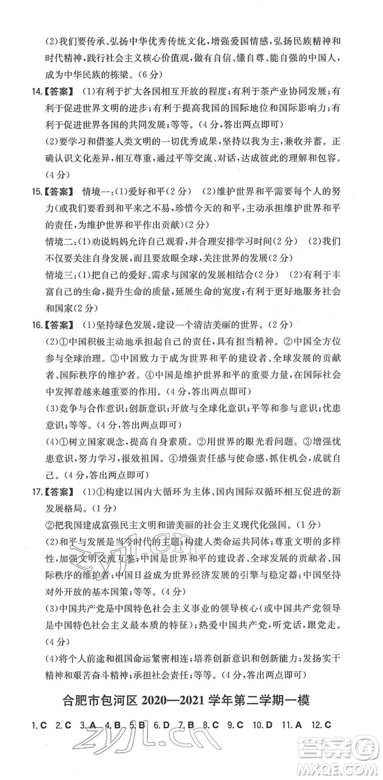 湖南教育出版社2022一本同步訓練九年級道德與法治下冊RJ人教版安徽專版答案