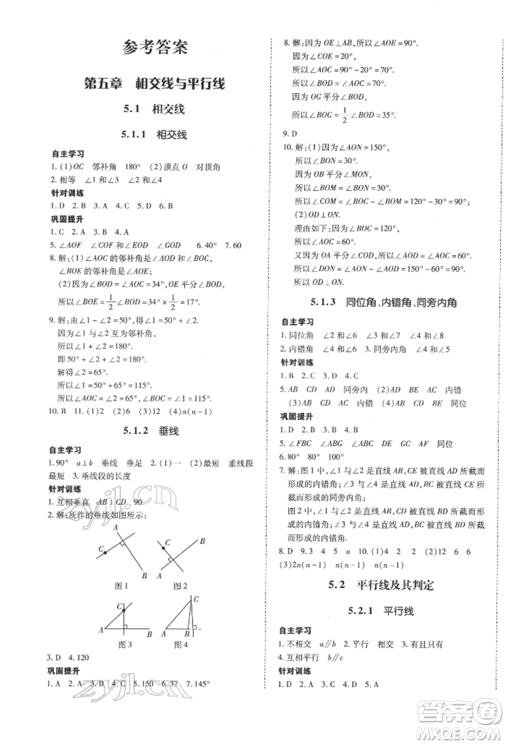 延邊大學(xué)出版社2022本土攻略七年級(jí)下冊(cè)數(shù)學(xué)人教版參考答案