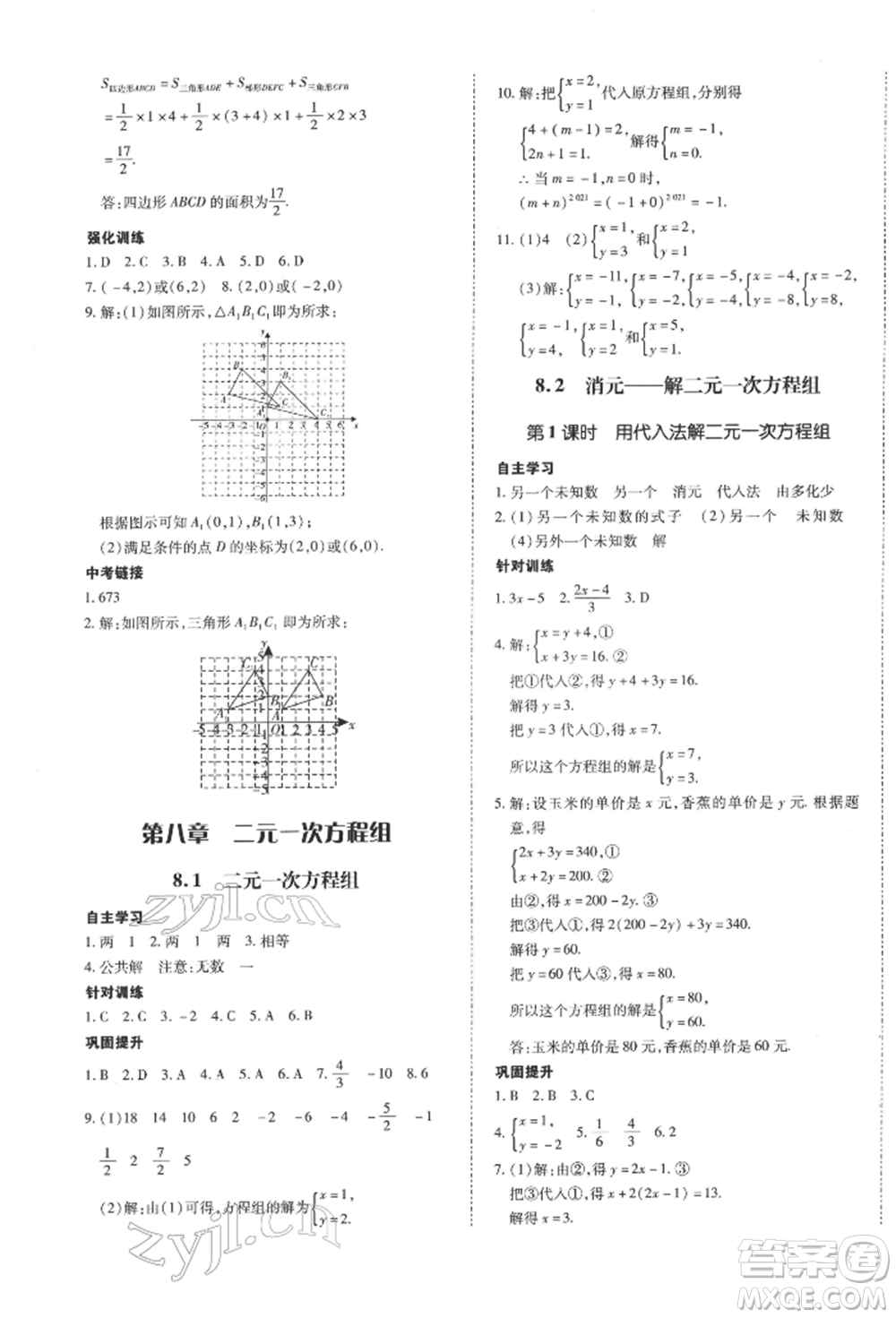 延邊大學(xué)出版社2022本土攻略七年級(jí)下冊(cè)數(shù)學(xué)人教版參考答案