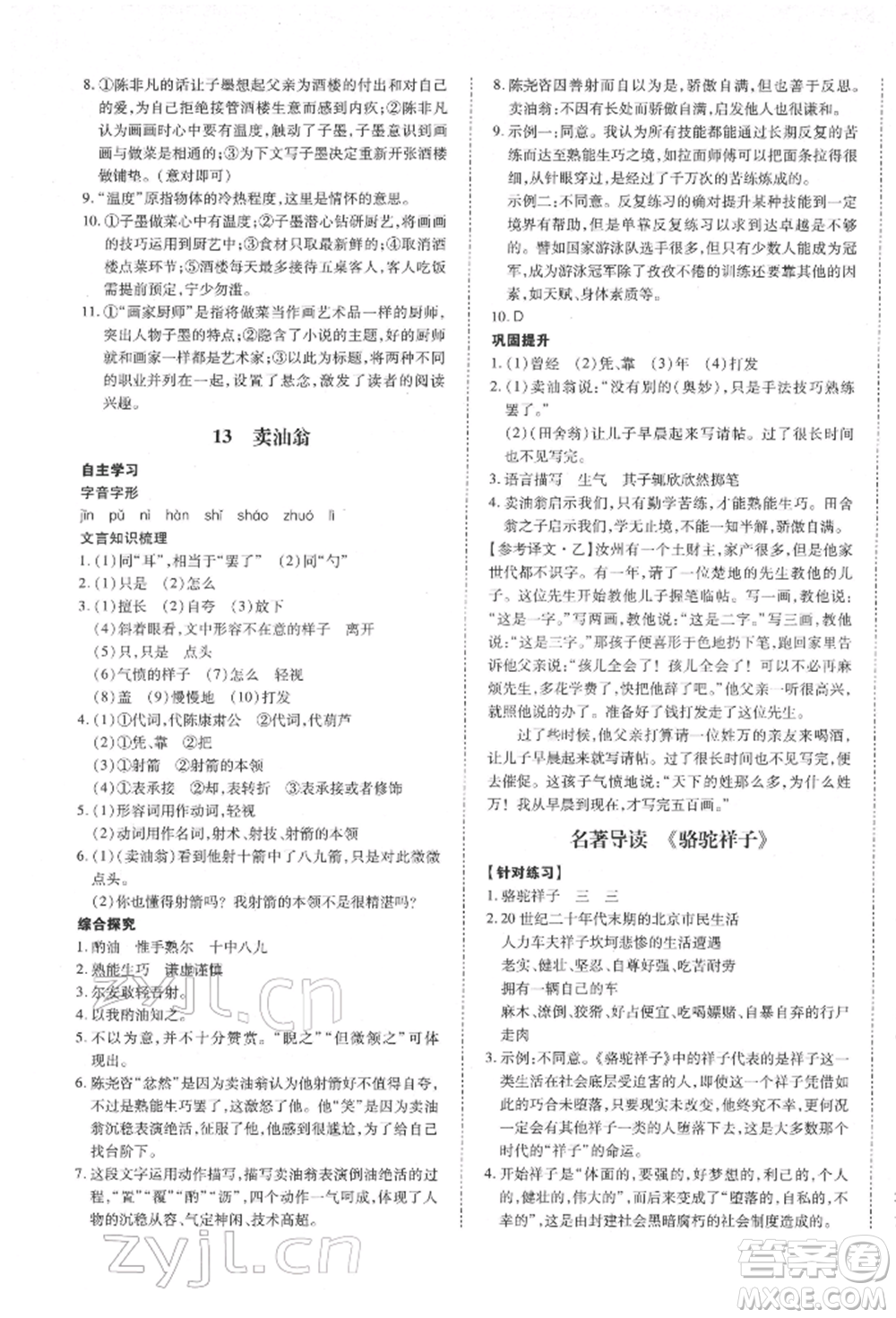 延邊大學(xué)出版社2022本土攻略七年級(jí)下冊(cè)語文人教版參考答案