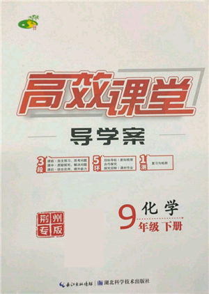 湖北科學(xué)技術(shù)出版社2022高效課堂導(dǎo)學(xué)案九年級(jí)下冊(cè)化學(xué)人教版荊州專(zhuān)版參考答案