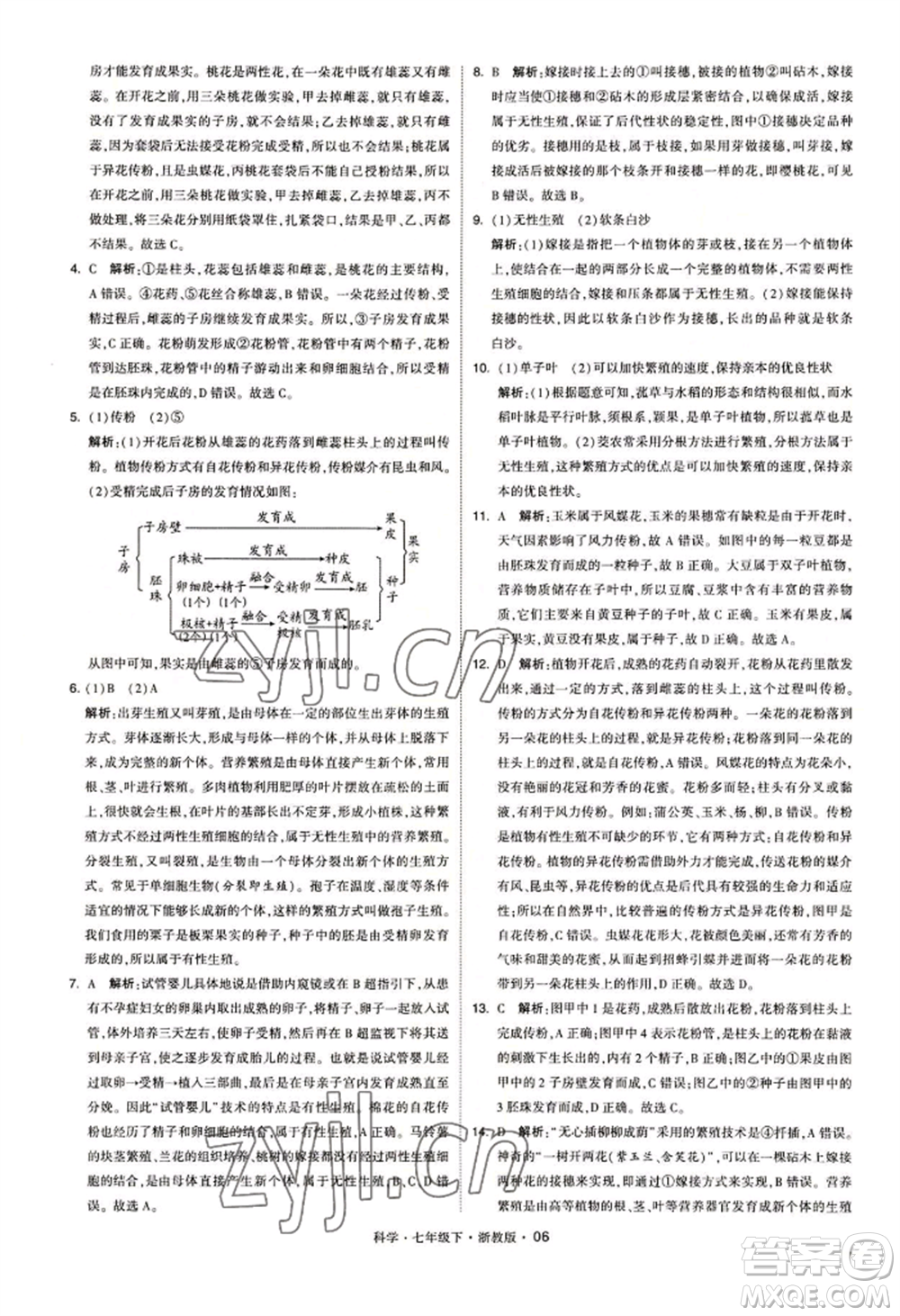 寧夏人民教育出版社2022經(jīng)綸學典學霸題中題七年級下冊科學浙教版參考答案