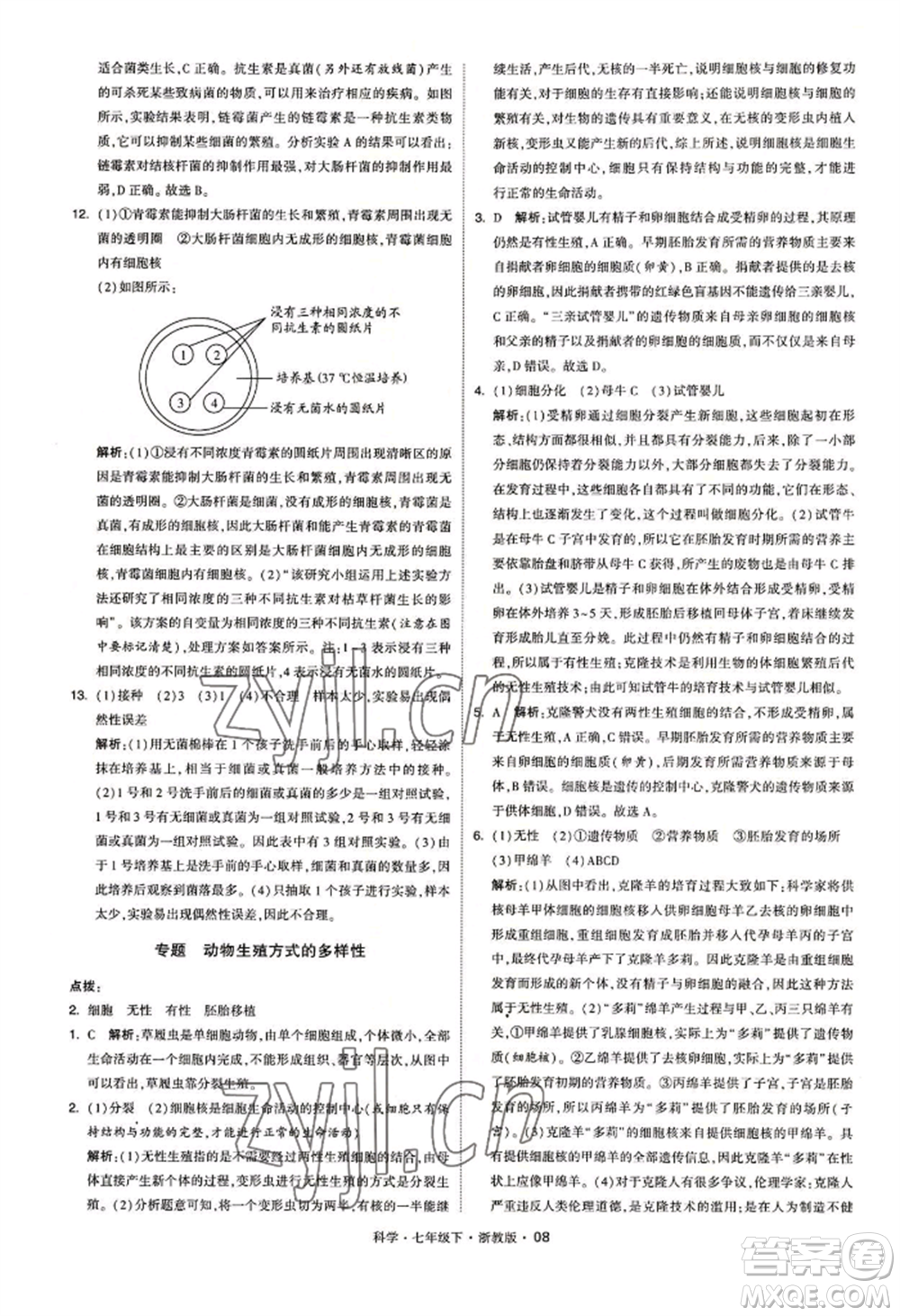 寧夏人民教育出版社2022經(jīng)綸學典學霸題中題七年級下冊科學浙教版參考答案