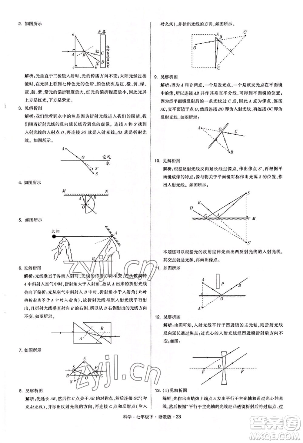 寧夏人民教育出版社2022經(jīng)綸學典學霸題中題七年級下冊科學浙教版參考答案