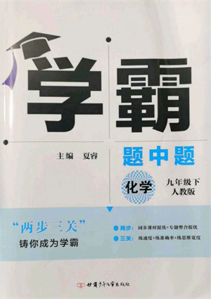新疆少年兒童出版社2022學霸題中題九年級下冊化學人教版參考答案