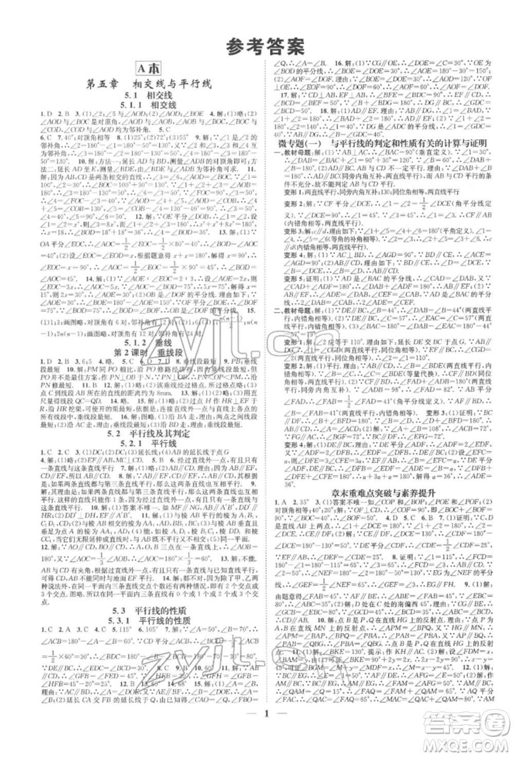 天津科學(xué)技術(shù)出版社2022智慧學(xué)堂核心素養(yǎng)提升法A本七年級下冊數(shù)學(xué)人教版臺州專版參考答案