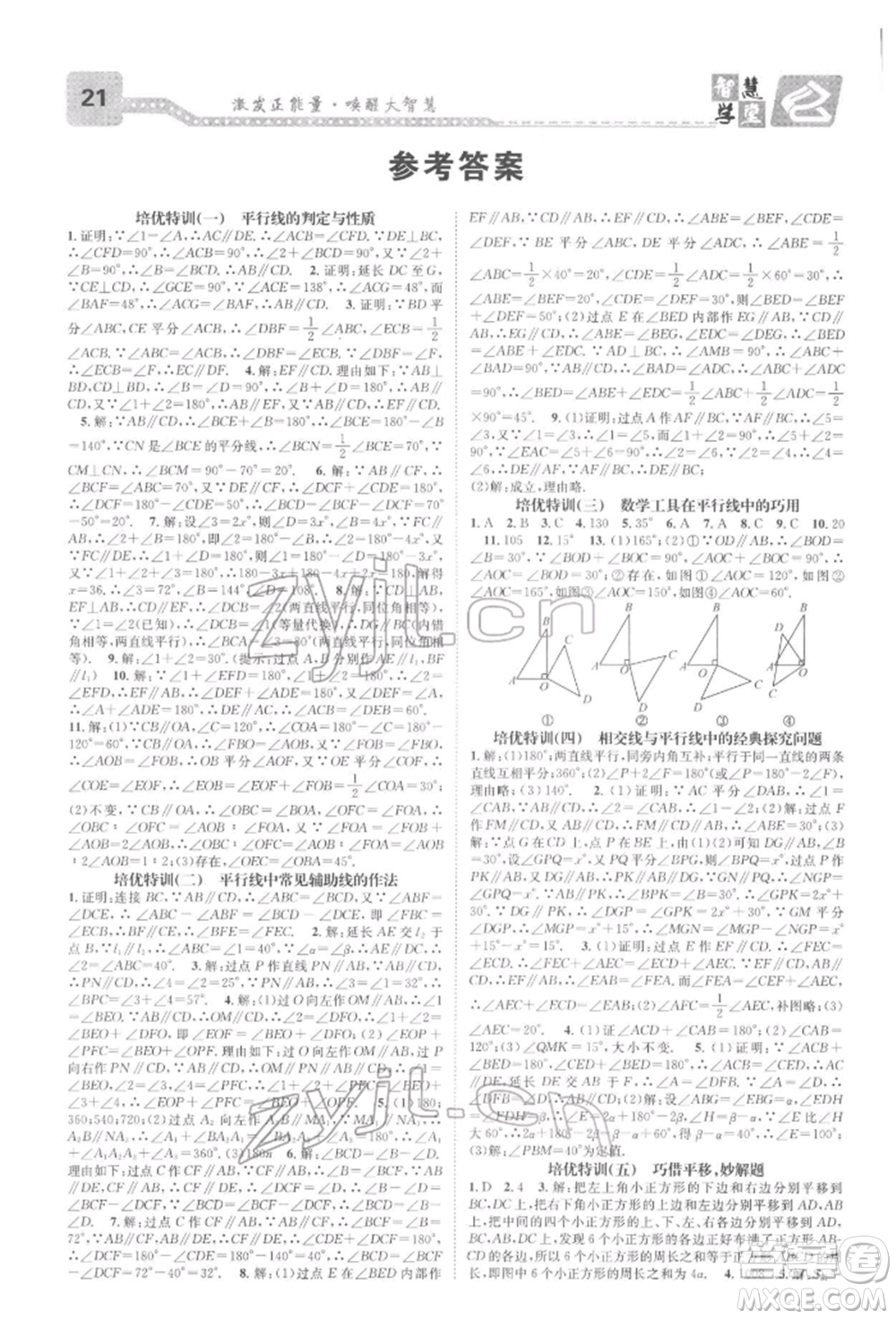 天津科學(xué)技術(shù)出版社2022智慧學(xué)堂核心素養(yǎng)提升法A本七年級下冊數(shù)學(xué)人教版臺州專版參考答案