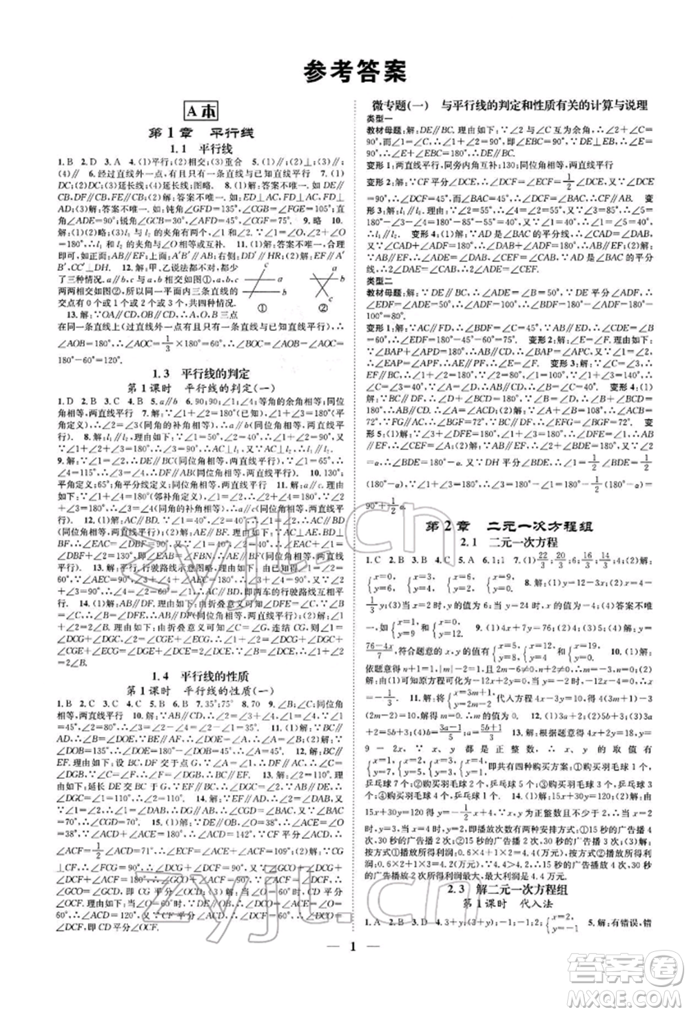 天津科學(xué)技術(shù)出版社2022智慧學(xué)堂核心素養(yǎng)提升法A本七年級下冊數(shù)學(xué)浙教版浙江專版參考答案