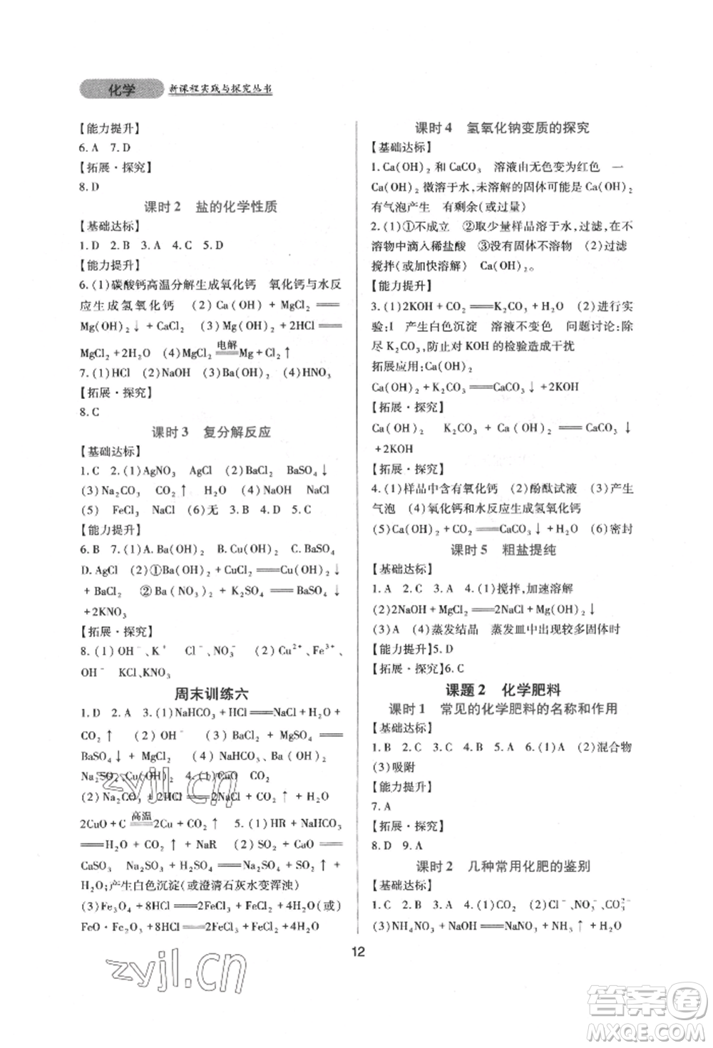 四川教育出版社2022新課程實踐與探究叢書九年級下冊化學(xué)人教版參考答案