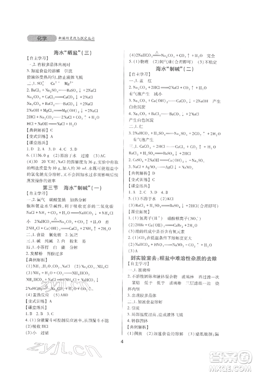 四川教育出版社2022新課程實踐與探究叢書九年級下冊化學山東教育版參考答案