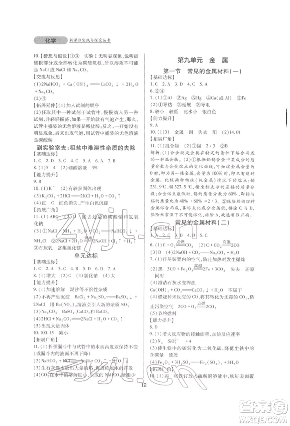 四川教育出版社2022新課程實踐與探究叢書九年級下冊化學山東教育版參考答案