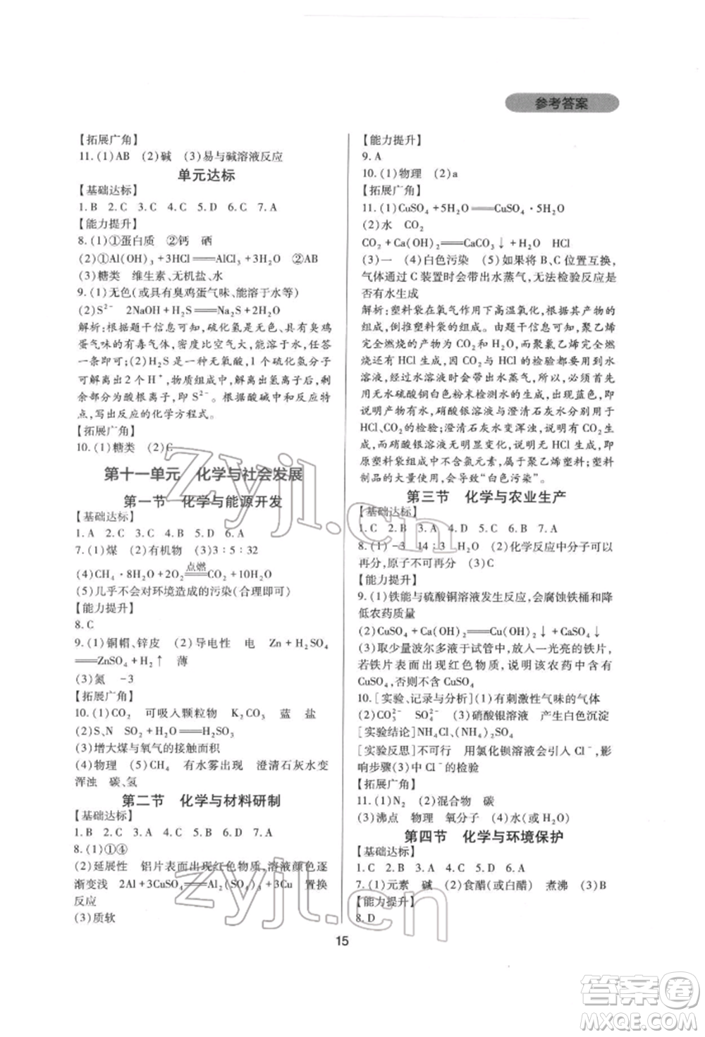 四川教育出版社2022新課程實踐與探究叢書九年級下冊化學山東教育版參考答案