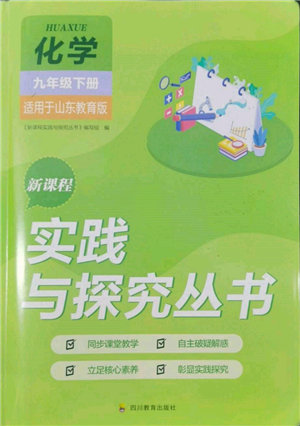 四川教育出版社2022新課程實踐與探究叢書九年級下冊化學山東教育版參考答案