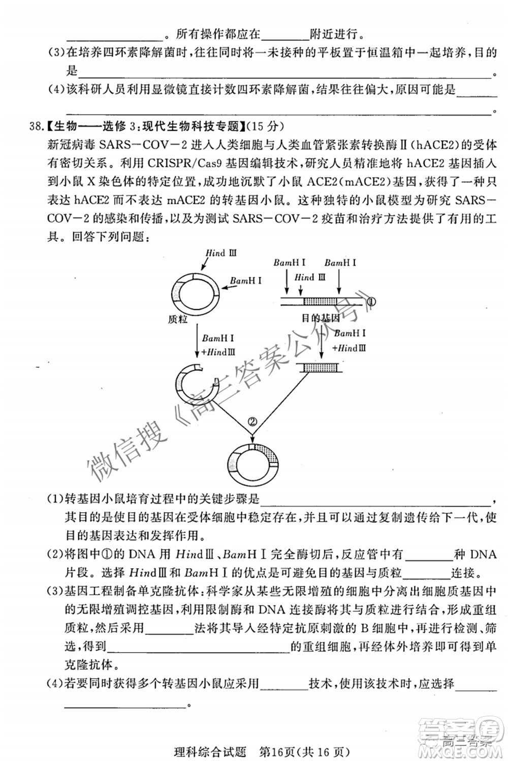 2022年5月湘豫名校聯(lián)考高三理科綜合試題及答案